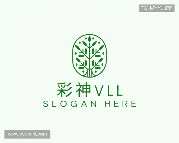 发现彩神vll